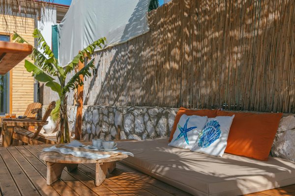 Explore the Hidden Gems of Cornwall: Guided Garden Tours Showcasing Exotic Plant Species